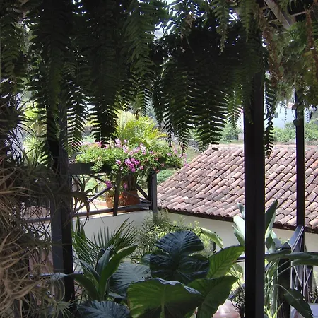 Mit Meerblick Lejlighed Icod De Los Vinos